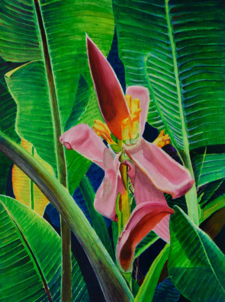 Banana Flower by Larry Downs