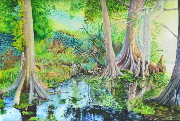 Bayou Backwater by Larry Downs