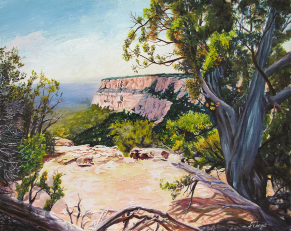 Canyon View by Larry Downs