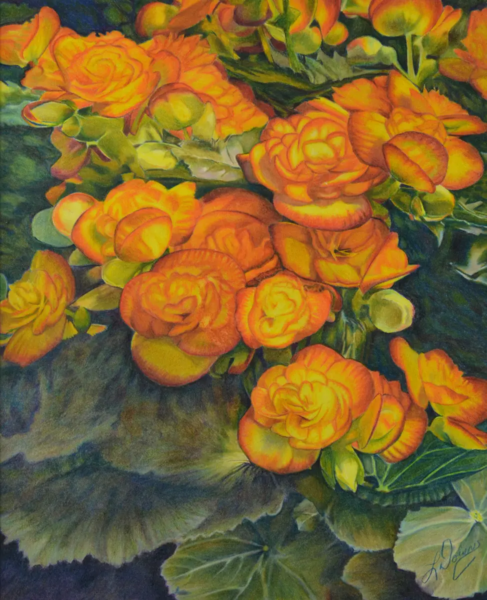 Golden Begonias by Larry Downs