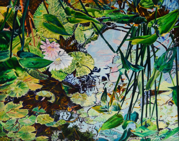 Hidden Treasures by Larry Downs