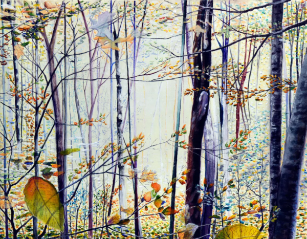 In The Woods by Larry Downs