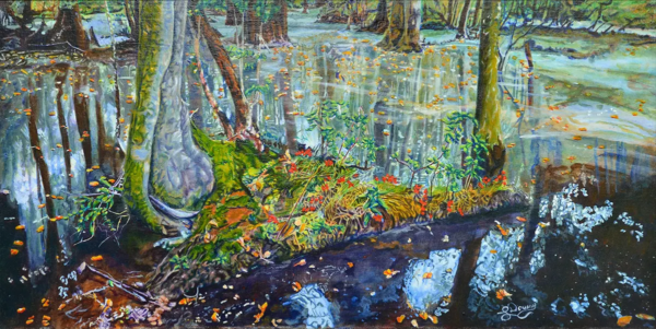 Nature's Cathedral by Larry Downs