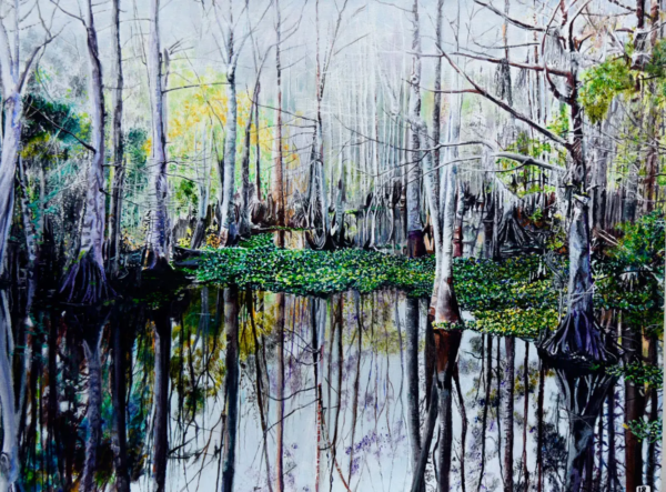 Quiet Reflections by Larry Downs