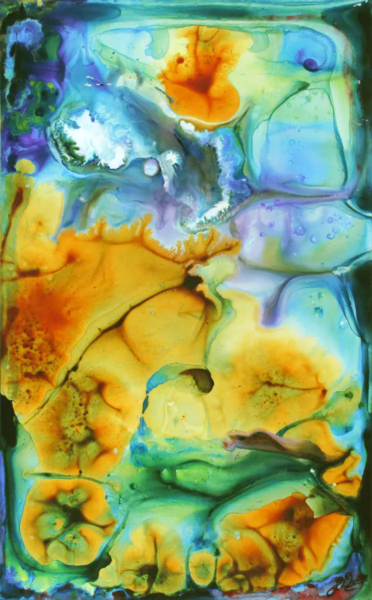 Shallow Water by Larry Downs