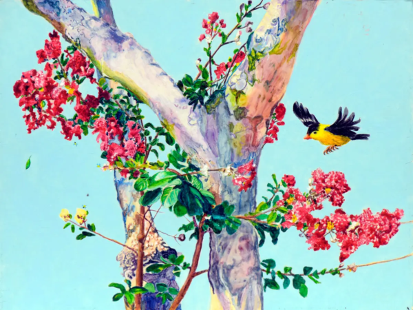 The Birds and the Bees by Larry Downs