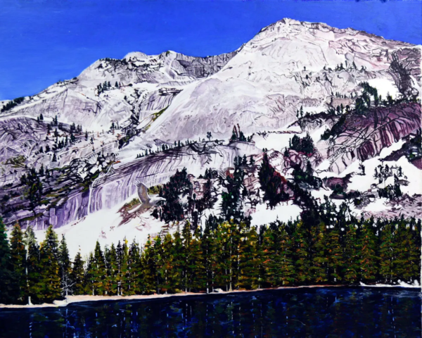 White Eagle Mountain by Larry Downs