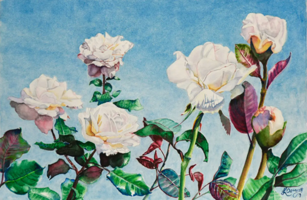 White Roses by Larry Downs